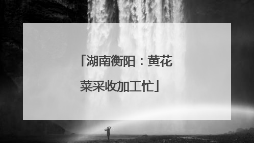 湖南衡阳：黄花菜采收加工忙