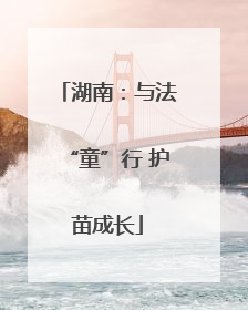 湖南：与法“童”行 护苗成长