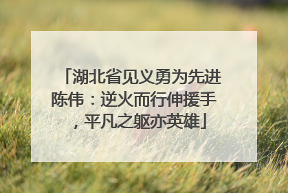 湖北省见义勇为先进陈伟：逆火而行伸援手，平凡之躯亦英雄