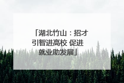 湖北竹山：招才引智进高校 促进就业助发展