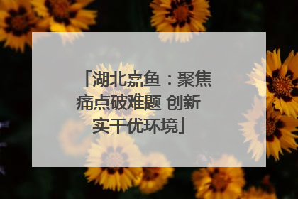 湖北嘉鱼：聚焦痛点破难题 创新实干优环境