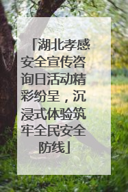 湖北孝感安全宣传咨询日活动精彩纷呈，沉浸式体验筑牢全民安全防线