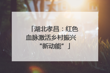 湖北孝昌：红色血脉激活乡村振兴“新动能”