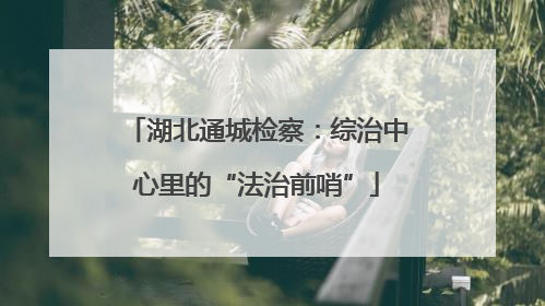 湖北通城检察：综治中心里的“法治前哨”