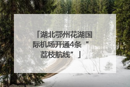 湖北鄂州花湖国际机场开通4条“荔枝航线”