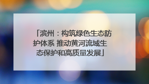 滨州：构筑绿色生态防护体系 推动黄河流域生态保护和高质量发展