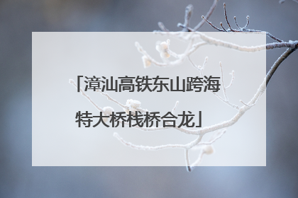 漳汕高铁东山跨海特大桥栈桥合龙