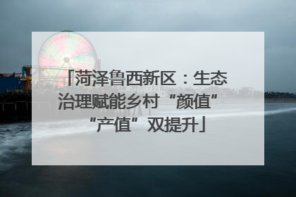菏泽鲁西新区：生态治理赋能乡村“颜值”“产值”双提升