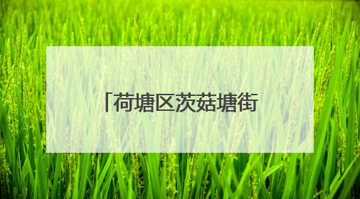 荷塘区茨菇塘街道：党建引领架起连心桥，“双联夜访”织就端午情