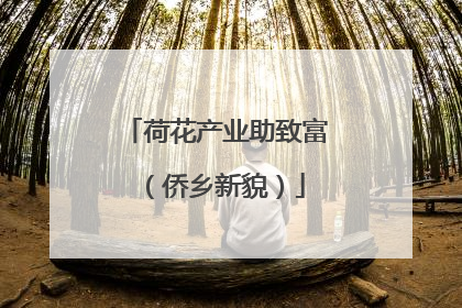荷花产业助致富（侨乡新貌）