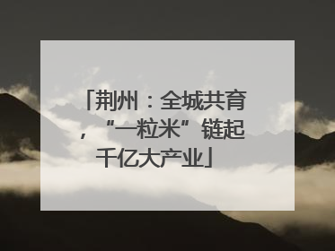 荆州：全城共育，“一粒米”链起千亿大产业