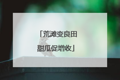 荒滩变良田 甜瓜促增收