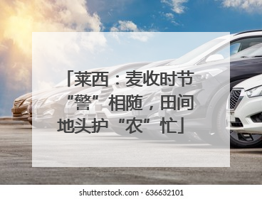 莱西：麦收时节“警”相随，田间地头护“农”忙