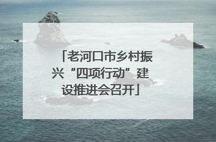 老河口市乡村振兴“四项行动”建设推进会召开