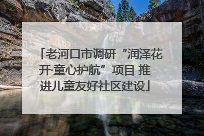 老河口市调研“润泽花开·童心护航”项目 推进儿童友好社区建设