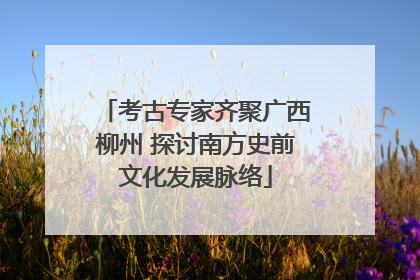 考古专家齐聚广西柳州 探讨南方史前文化发展脉络