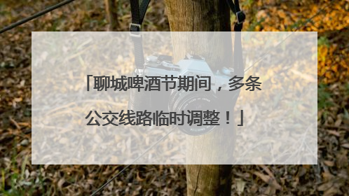 聊城啤酒节期间，多条公交线路临时调整！
