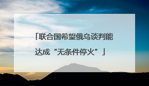 联合国希望俄乌谈判能达成“无条件停火”
