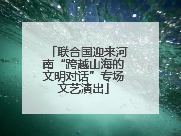 联合国迎来河南“跨越山海的文明对话”专场文艺演出