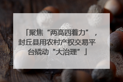 聚焦“两高四着力”，封丘县用农村产权交易平台撬动“大治理”