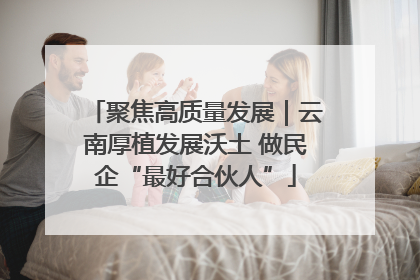 聚焦高质量发展｜云南厚植发展沃土 做民企“最好合伙人”