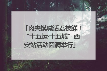 肉夹馍喊话荔枝鲜！“十五运·十五城”西安站活动圆满举行
