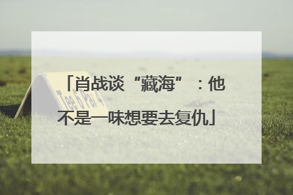 肖战谈“藏海”：他不是一味想要去复仇