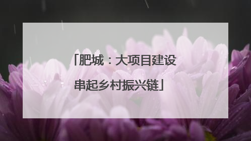 肥城：大项目建设串起乡村振兴链