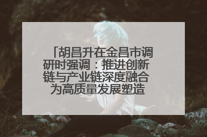 胡昌升在金昌市调研时强调：推进创新链与产业链深度融合 为高质量发展塑造新动能新优势