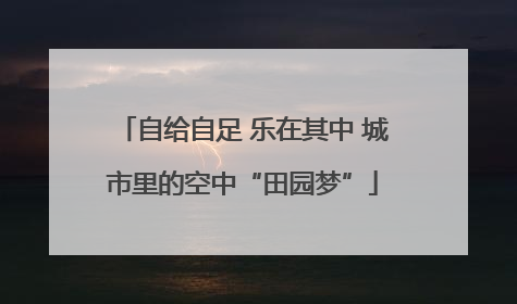 自给自足 乐在其中 城市里的空中“田园梦”