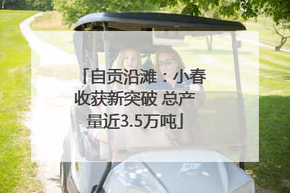 自贡沿滩：小春收获新突破 总产量近3.5万吨