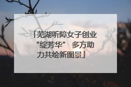 芜湖听障女子创业“绽芳华” 多方助力共绘新图景