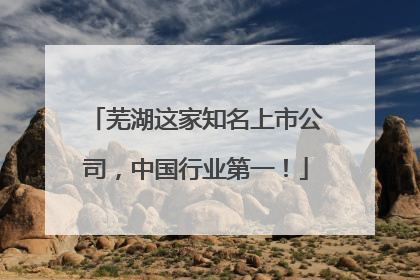 芜湖这家知名上市公司，中国行业第一！
