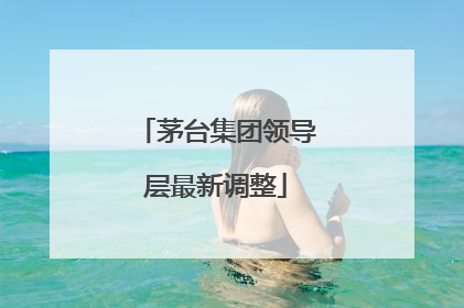 茅台集团领导层最新调整