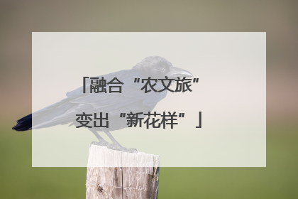 融合“农文旅” 变出“新花样”