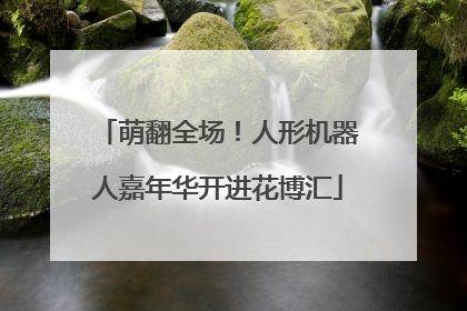 萌翻全场！人形机器人嘉年华开进花博汇