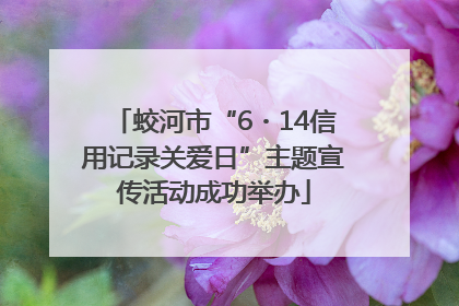 蛟河市“6・14信用记录关爱日”主题宣传活动成功举办