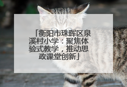 衡阳市珠晖区泉溪村小学：聚焦体验式教学，推动思政课堂创新