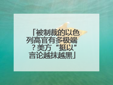 被制裁的以色列高官有多极端？美方“挺以”言论越抹越黑