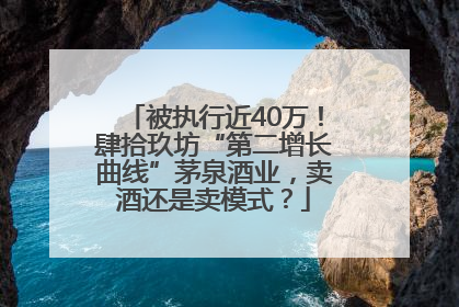 被执行近40万！肆拾玖坊“第二增长曲线”茅泉酒业，卖酒还是卖模式？