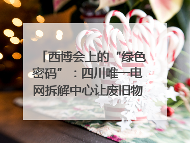 西博会上的“绿色密码”：四川唯一电网拆解中心让废旧物资“重生”｜西博寻“新”记