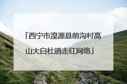 西宁市湟源县前沟村高山大白杜鹃走红网络