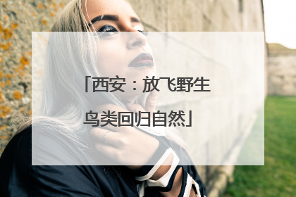 西安：放飞野生鸟类回归自然