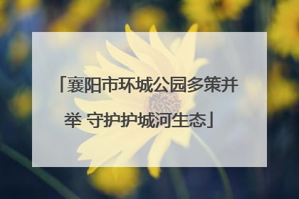 襄阳市环城公园多策并举 守护护城河生态