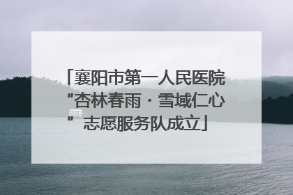 襄阳市第一人民医院“杏林春雨・雪域仁心”志愿服务队成立