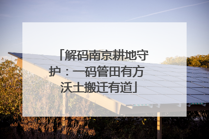 解码南京耕地守护：一码管田有方 沃土搬迁有道