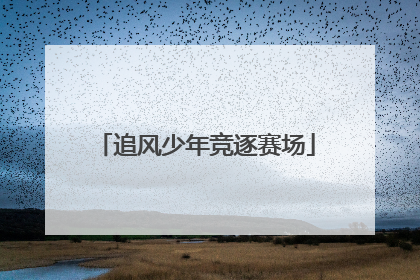 追风少年竞逐赛场