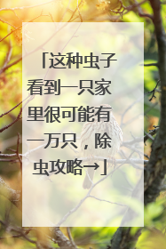 这种虫子看到一只家里很可能有一万只，除虫攻略→