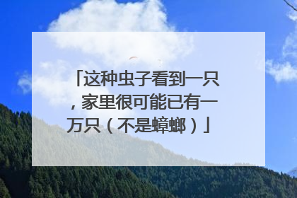 这种虫子看到一只，家里很可能已有一万只（不是蟑螂）