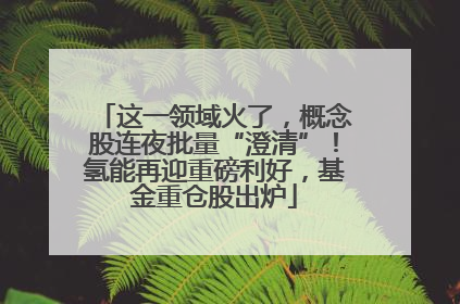 这一领域火了，概念股连夜批量“澄清”！氢能再迎重磅利好，基金重仓股出炉